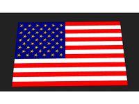 USA Flag by alexdfox