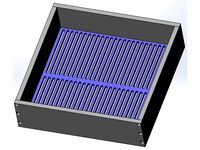 MealWorm Pupae classifier by dnsseguin