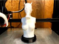 Punkish torso / bust? Lowish Poly by Black5heepHD
