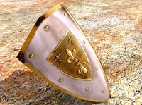 Dragor Shield3d model