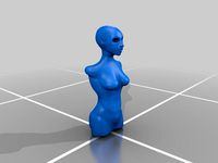 Female Torso V1 by NoName_
