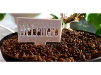 Chili nametag by pahe1004