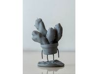 Cactus by Obieteru