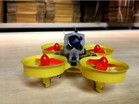 Tiny Whoop BeeBrain V2 canopy by junrenman