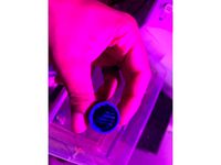 Domed Filter Cap for 1/2 inch PVC Pipe by dtroupe2