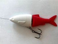 Swimbait/Glidebait Line Thru Heads by Domi1988