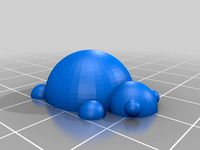 Turtle by The42ndTurtle