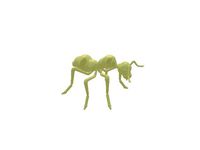 Ant - Curv by Torleif