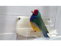 Double bird feeder by Doe_Het_lekker_Zelf