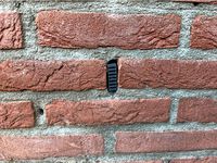 No Bees/Wasp in wall by TheWalkingDad