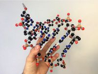 Full-color DNA building kit by shocksofmighty
