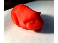 Guinea Pig V.2 by jfrisc20