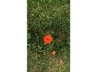 Lawn or driveway marker stakes by Angrybird12