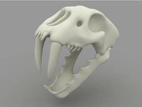 Saber Tooth Tiger Skull by staycation