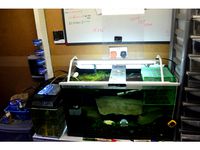 Fish Food Holder by Walney-Reptiles