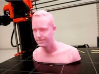 Robbie Bust by halfluck