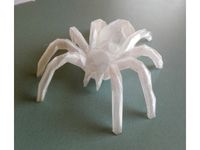 LOWPOLY spider by RaffoSan