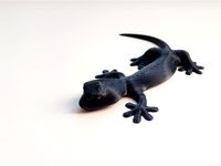 Gecko DeskPal (easy print) by anibarro