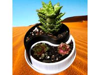 Customizable Yin-Yang Planter / Container by Lucina