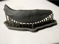 wolf tooth (scanned and printed) by cashew675