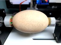 Lacy Egg by aevictory