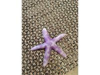 I Love You Starfish by PaulBongio