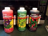 Hydroponic Nutrient Syringe Holster by Taleya