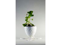 Strawberry Planter by Jonceptiondesign