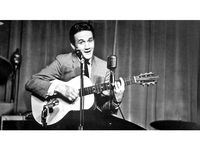 roger miller guitar lithophane by philip3dprinter