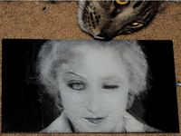 Baby Groot by Jay_Omega