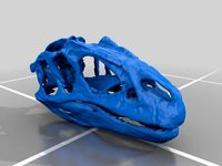 Updated Allosaurus Skull and Erlikosaurus Skull by Pink_Iguanas