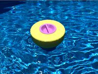 Chlorine Dispenser by H4irBear