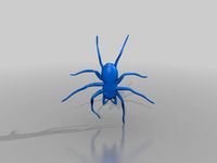 spider by Syzguru11
