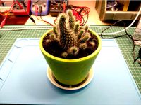 Flower Pot Plate by aleshep