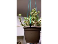 Potted Plant Hanging Clip by a8ksh4