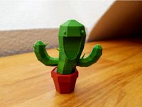Smiling cactus by IllyaByelkin