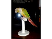 Desktop Small Bird Perch by ToriLeighR