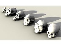 Evolutionary Skulls Set by sjpiper145