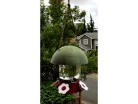 Hummingbird Feeder by TKCollective