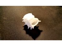 k amonite Fv2.4 by Kaaa