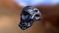 Skull M