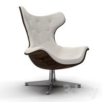 Shell Arm chair