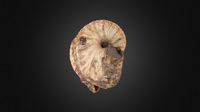 Menuites oralensis