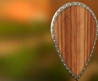 Wood Shield01