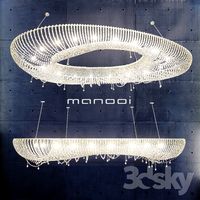 Manooi Artica