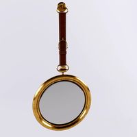 Zerkalo_Mirror_Aramis_Equestrian
