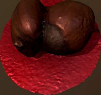 Duble Nuts