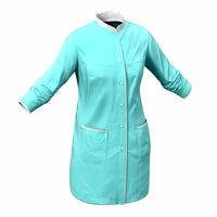 Female Surgeon Dress 5 3D Model
