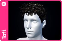 Terran Hair Male from Tafi
