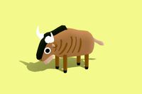 Wildebeest - Quirky Series